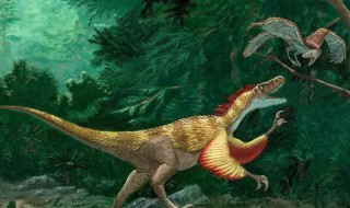 恐龙生活的三个时期 恐龙生活的三个时期是什么
