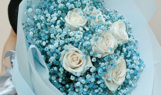 十一朵白玫瑰加满天星的花语 有关十一朵白玫瑰加满天星的花语介绍