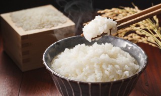 剩下大米饭怎么做饼 剩大米饭怎么做小饼