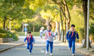 一年级入队前一件好事怎么写 关于年级入队前一件好事怎么写