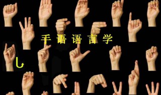 手语怎么学 怎么学怎么学