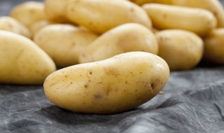 怎样给家庭储存土豆 家庭储存土豆的方法