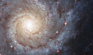 棒旋星系什么意思 什么是棒旋星系
