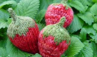 草莓叶子的钩法 要注意针数