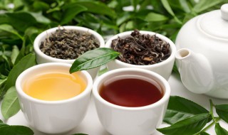 秋天喝红茶还是绿茶 两者有什么益处