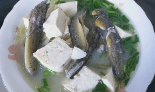 泥鳅炖豆腐的做法 泥鳅炖豆腐怎么做好吃