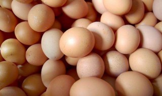 焖蛋的做法 小孩子特别喜欢吃