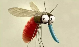 蚊子不咬什么人 为什么蚊子就爱咬你