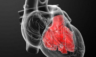 早搏如何确定不是病理性的 如何判断心脏是良性的还是病理性的？