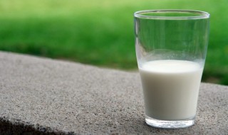 奶粉和牛奶的区别 喝纯牛奶和奶粉的区别是什么