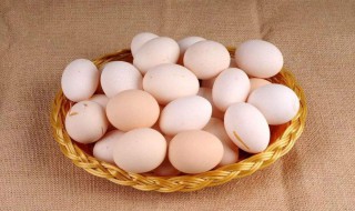 土鸡蛋最好的保鲜方法 土鸡蛋这样保存最好
