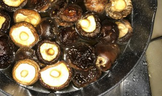 泡发的香菇怎么保存 分别可以怎么保存香菇