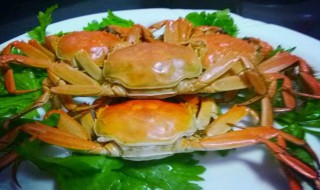 怎么蒸螃蟹最好吃 蒸螃蟹最好吃的做法