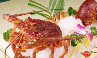 澳洲龙虾怎么做才好吃 澳洲龙虾做法介绍