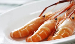 大明虾怎么做好吃 大明虾好吃的做法
