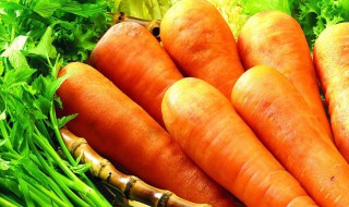 胡萝卜叶子怎么做好吃 胡萝卜叶子好吃的做法