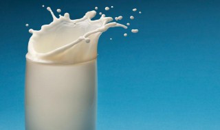 袋装的牛奶和盒装的牛奶有区别吗 袋装的牛奶和盒装的牛奶区别简述