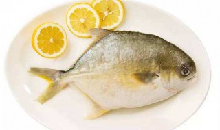 金鲳鱼需要怎么处理 清蒸金鲳鱼怎么洗