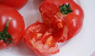 刚摘下的西红柿怎么保存 西红柿的保存方法如下