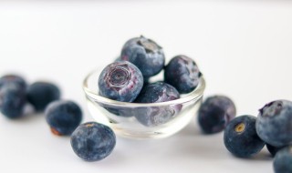 蓝莓什么时候种植最好 蓝莓怎么种植及注意事项