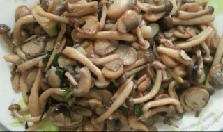 酸辣杂菇怎么做 酸辣杂菇的做法