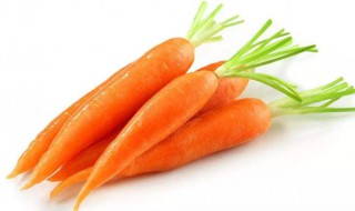 胡萝卜什么时候种植最好 胡萝卜最佳种植时间