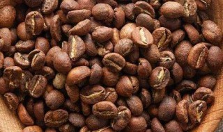 咖啡豆保存方法 可以磨成粉保存吗