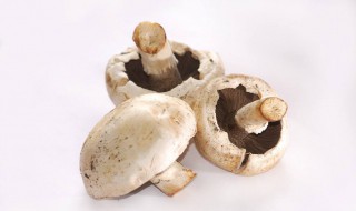 草菇的保存方法 草菇怎么保存时间长