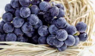 葡萄的保存方法 怎么保存葡萄