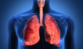 如何做深呼吸增加肺活量 增加肺活量方法