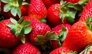 保存草莓的方法 如何保存草莓