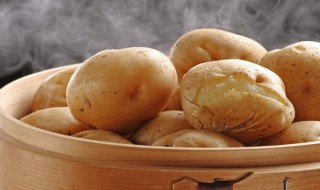 土豆最简单做法 炖土豆的做法