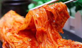韩国泡菜最简单的做法 简易韩国泡菜的做法
