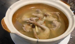 清炖鸽子汤简单好吃 清炖鸽子汤的做法