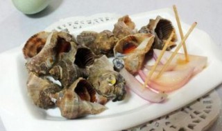 海螺怎么做好吃又简单 海螺的做法
