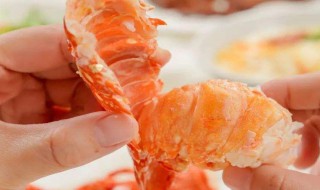 中国小青龙虾营养价值 吃中国小青龙虾的好处