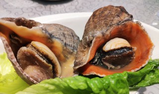 海螺肉制作方法 辣炒螺肉最好吃