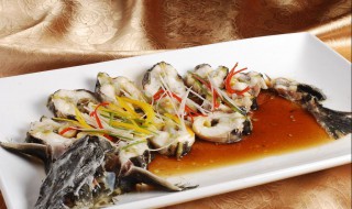 中华鲟鱼怎么吃最好吃 清蒸鲟鱼的做法