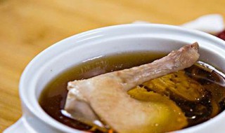 怎么做鸽子汤 做鸽子汤的2种方法