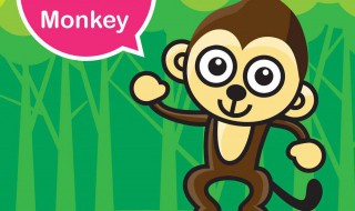 猴子英语怎么读 猴子的英语单词是什么