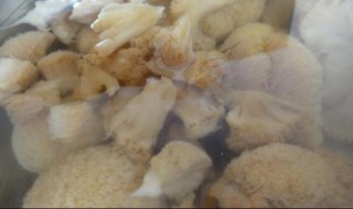 猴头菇怎么做 猴头菇的做法