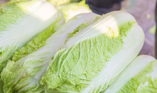 白菜怎么做减肥 吃白菜能减肥吗
