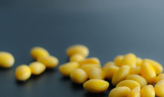 黄豆怎么做 黄豆的做法