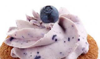 蜂蜜蓝莓蛋糕如何做 蜂蜜蓝莓蛋糕的方法