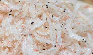 干海米怎么保存 保存海米的妙招
