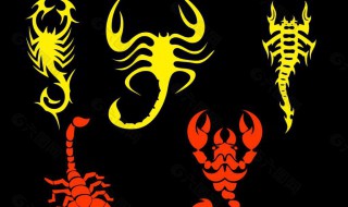 梦到蝎子是什么意思 梦到蝎子是什么意思预示什么