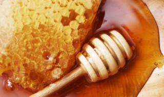 蜂蜜怎么样辨别真假 怎么样去辨别蜂蜜的真假？
