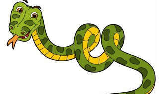 关于蛇的成语大全 关于蛇的成语有哪些