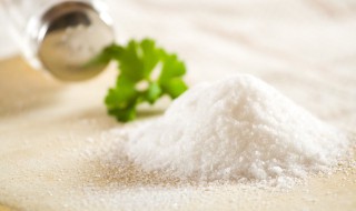 如何制盐 制盐的过程是怎样的