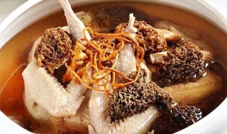 美食羊肚菌炖汤的做法 羊肚菌炖鸡汤的步骤